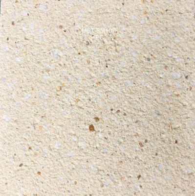 仿石PC磚芝麻白系列 (6)